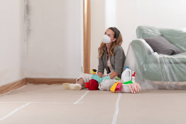 Reliable Mold Inspection contractor in Granville, IL by WQB Mold Removal